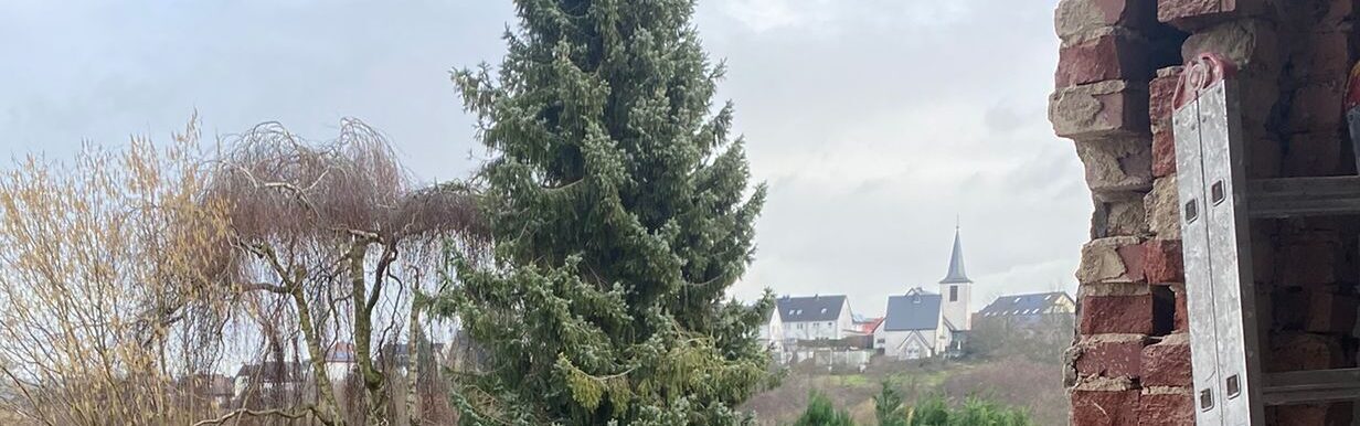 IMG-20250819-WA0014